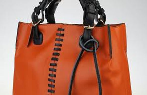 کیف و کفش دلارک